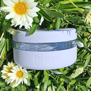 PERIWINKLE - Reusable Glass Lunch Container