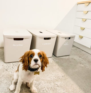 The truth about recycling