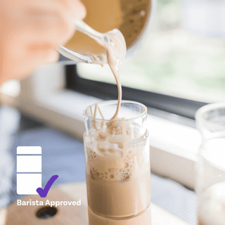 MIDDY ICED - Iced Drinks & Smoothie Cup 16oz