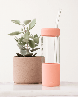 GLASS STRAWS —3 pack { Fits Large Studio Tumbler 20oz }