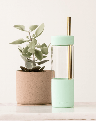 GOLD STAINLESS STRAWS —3 pack { Fits Large Studio Tumbler 20oz }