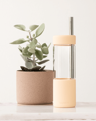 SILVER STAINLESS STRAWS—3 pack { Fits Large Studio Tumbler 20oz }