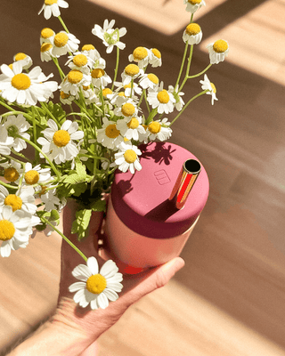LARGE STRAW LID – Fits Studio Tumblers & Stainless Cups