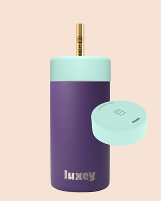 {PRE ORDER} MULBERRY - Duo Switch Stainless Steel Cup 12oz