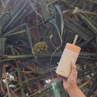 SORBET & GRAY - Insulated Iced Drink Tumbler