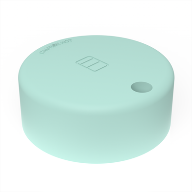 MINT - Large Straw Lid
