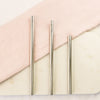REUSABLE STAINLESS STEEL STRAWS - SILVER