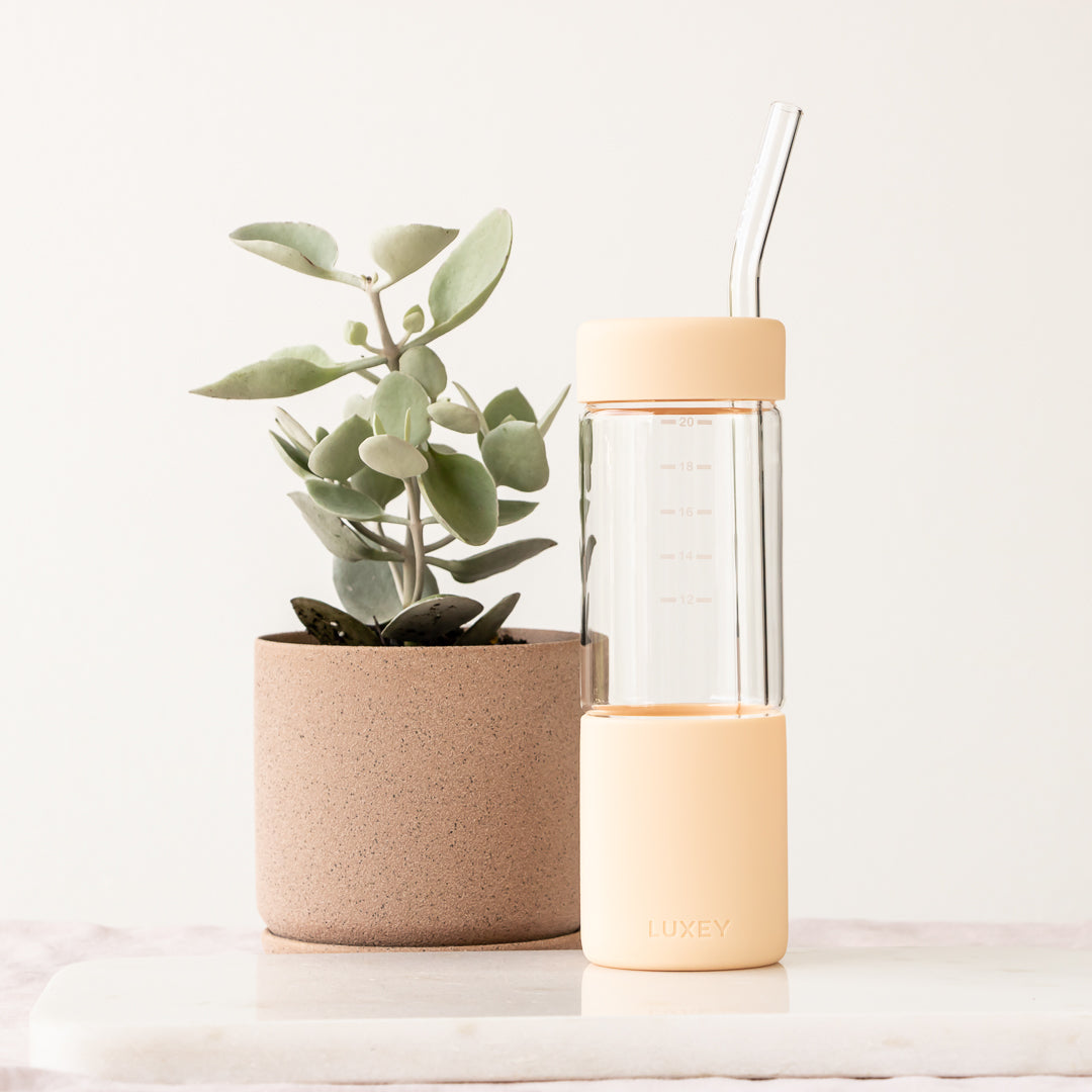 SEPTEMBER - Aster >> 20 oz Glass Cup with Lid + Straw – M Plus B Boutique